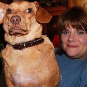 Meet your Posher, Lynette